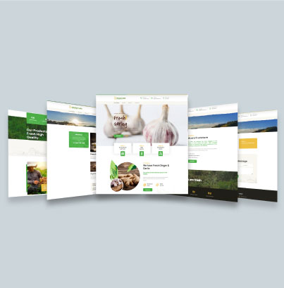 paginas web